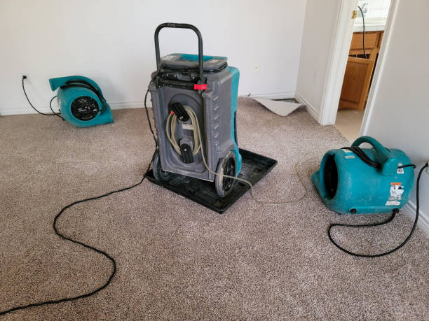 Best Residential water damage restoration  in Waipio, HI