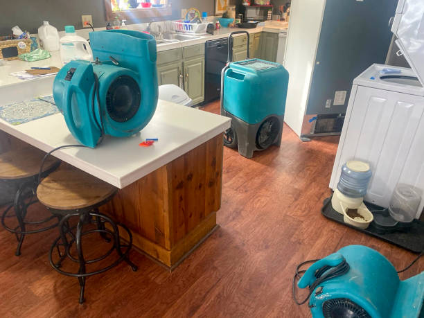 Best Flood restoration services  in Waipio, HI