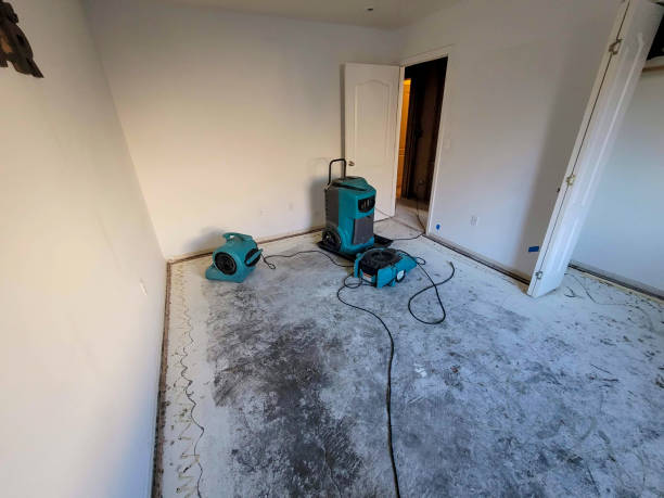 Best Basement water damage restoration  in Waipio, HI