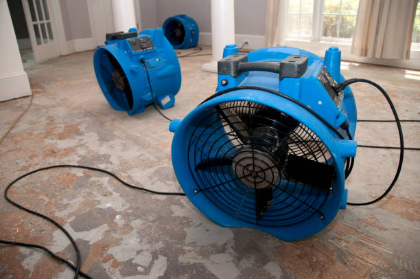 Water damage restoration experts in Waipio, HI