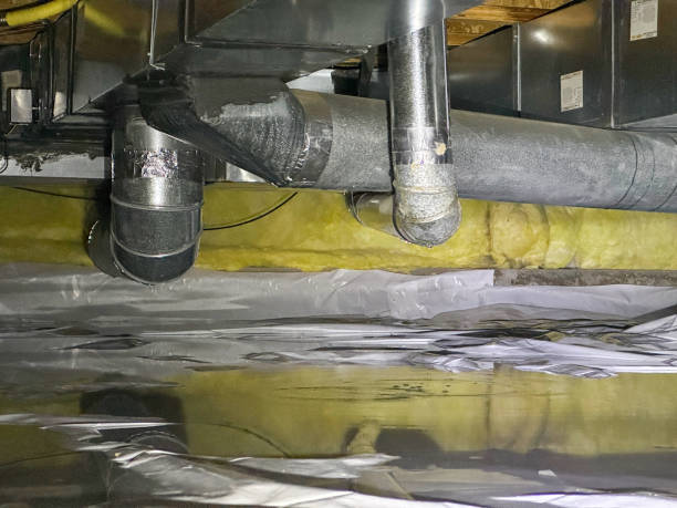 Best 24/7 water damage repair  in Waipio, HI